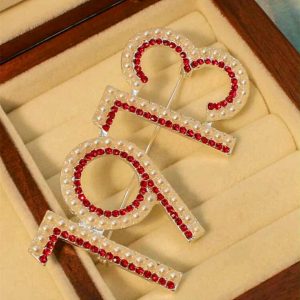 Delta Sigma Theta 1913 Signature Pin/Brooch