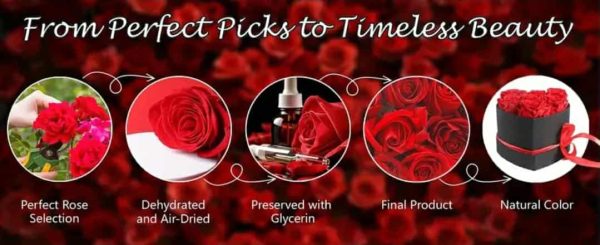 Forever Rose Heart Box (7 roses) - Image 2