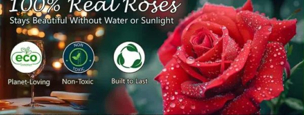 Forever Rose Heart Box (7 roses) - Image 3