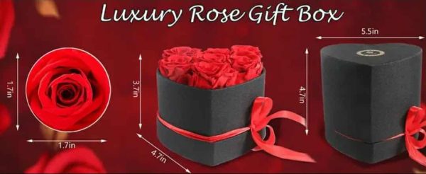 Forever Rose Heart Box (17 Roses) - Image 3